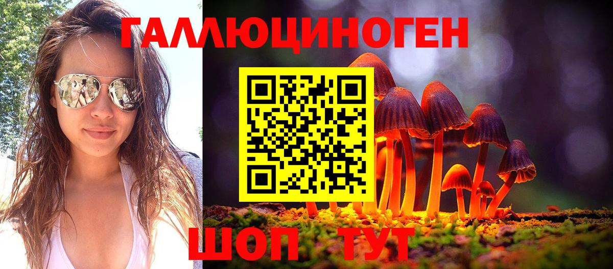 Псилоцибиновые грибы мицелий Ростов-на-Дону