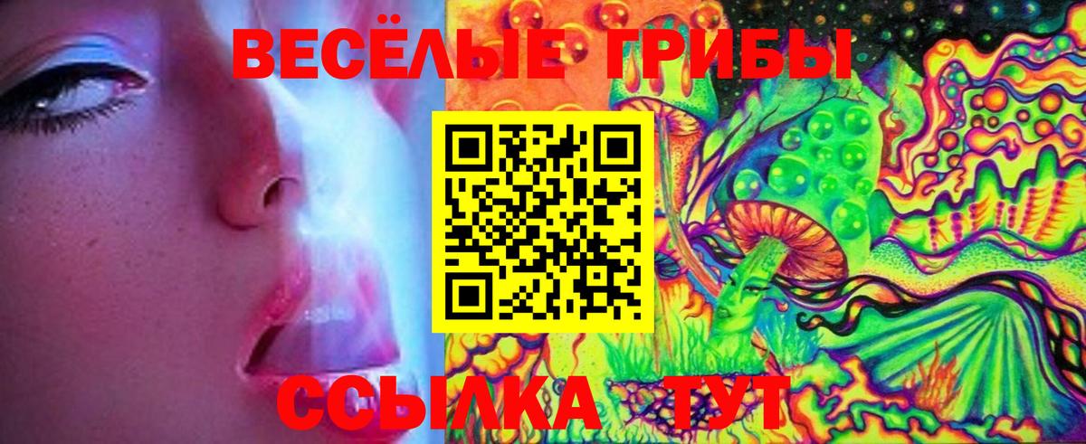 Псилоцибиновые грибы мухоморы  где можно купить   Ростов-на-Дону  Вход с VPN 